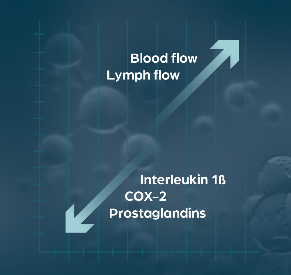 Chart showing increase in Blood flow lymph flow and decrease in Interleukin 1B COX-2 Prostaglandins